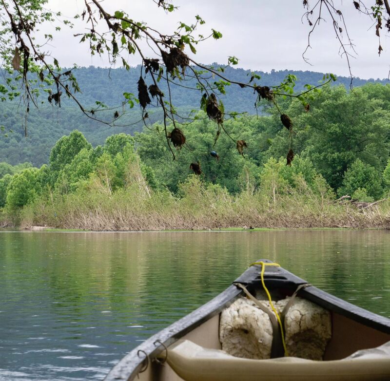 The image shows a serene view from a canoe on a calm river. Lush green trees and vegetation line the riverbank, with a backdrop of distant hills or mountains under an overcast sky. Branches with leaves hang over the water, framing the scene. The canoe's bow is visible in the foreground, suggesting a peaceful journey through nature.